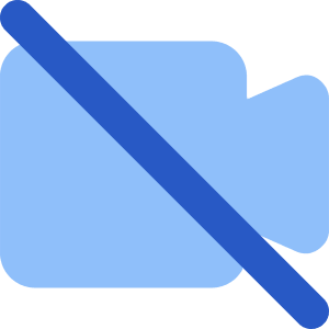 Webcam Video Off Icon from Core Flat Set