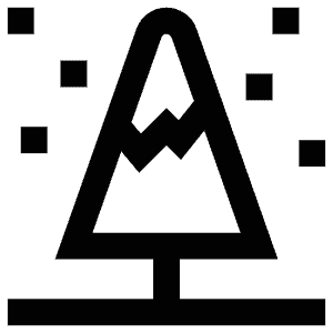 Pine Tree Icon from Atlas Line Set