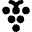 Grape Icon from Micro Solid Set