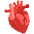 Anatomical Heart Emoji from Noto Emoji Set