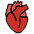 Anatomical Heart Emoji from OpenMoji Set