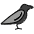 Black Bird Emoji from OpenMoji Set