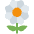 Blossom Emoji from Twemoji Set
