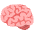 Brain Emoji from Noto Emoji Set
