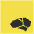 Brainjs Icon from SVG Logos Set