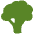 Broccoli Icon from SVG Logos Set