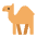 Camel Flat Emoji from Fluent Emoji Flat Set