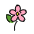 Cherry Blossom Emoji from OpenMoji Set