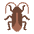 Cockroach Flat Emoji from Fluent Emoji Flat Set
