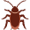 Cockroach Emoji from Twemoji Set