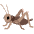 Cricket Emoji from Noto Emoji Set