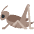 Cricket Emoji from Twemoji Set