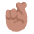 Crossed Fingers Flat Medium Emoji from Fluent Emoji Flat Set