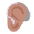 Ear With Hearing Aid Flat Medium Emoji from Fluent Emoji Flat Set