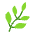Herb Flat Emoji from Fluent Emoji Flat Set