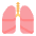 Lungs Flat Emoji from Fluent Emoji Flat Set