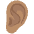 Ear Medium Skin Tone Emoji from Noto Emoji Set