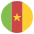 Flag Cameroon Emoji from EmojiTwo Colors Set