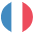 Flag France Emoji from EmojiTwo Colors Set