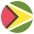 Flag Guyana Emoji from EmojiTwo Colors Set