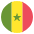 Flag Senegal Emoji from EmojiTwo Colors Set