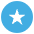 Flag Somalia Emoji from EmojiTwo Colors Set