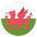 Flag Wales Emoji from EmojiTwo Colors Set
