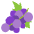 Grapes Emoji from EmojiTwo Colors Set