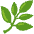 Herb Emoji from Noto Emoji Set