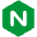 Nginx Icon from SVG Logos Set