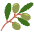 Olive Emoji from Twemoji Set