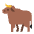 Ox Flat Emoji from Fluent Emoji Flat Set