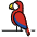 Parrot Emoji from OpenMoji Set