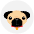 Pug Icon from SVG Logos Set