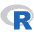 R Lang Icon from SVG Logos Set