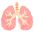 Lungs Emoji from Noto Emoji Set