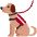 Service Dog Emoji from Twemoji Set