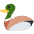 Duck Emoji from Twemoji Set