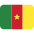 Flag Cameroon Emoji from Twemoji Set