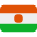 Flag Niger Emoji from Twemoji Set