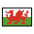 Flag Wales Emoji from OpenMoji Set