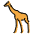 Giraffe Emoji from OpenMoji Emoji Set