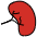 Kidney Emoji from OpenMoji Set