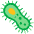 Microbe Emoji from Noto Emoji Set