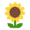 Sunflower Flat Emoji from Fluent Emoji Flat Set