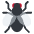 Fly Emoji from Twemoji Set