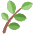 Herb Emoji from Twemoji Set