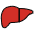Liver Emoji from OpenMoji Set