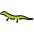 Lizard Emoji from OpenMoji Set
