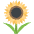 Sunflower Emoji from EmojiTwo Colors Set